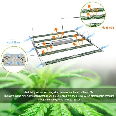 730W 5 Bar LED Grow Light Full Spectrum Samsung Greenhouse Hydroponic Systems Plant Lamp Pvisung Retractable LED Grow Light