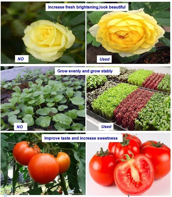 24W Indoor Grow Lamp LED Grow Lighting for Vertical Farm Greenhouse Plants