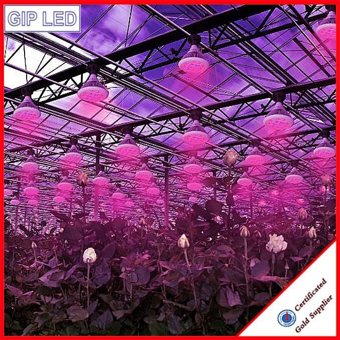 Hot Sale in 2016 E27 12W 24W LED Grow Light for Plant Growing