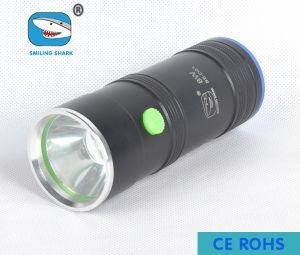 USA CREE LED Torch Professional Fishing Light