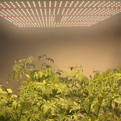 Highest Efficacy Full Spectrum Sunlight Vertical Grow Systems Bar Grow Light Full Spectrum LED Grow Light Lm301h