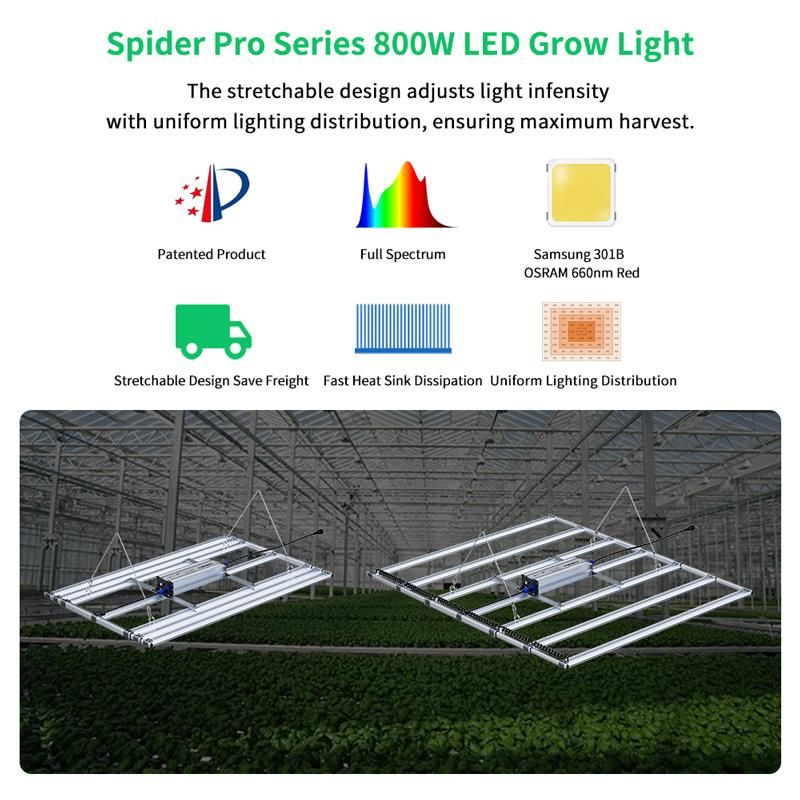 Hydroponic Vertical Farming Commercial 800W LED Grow Lights