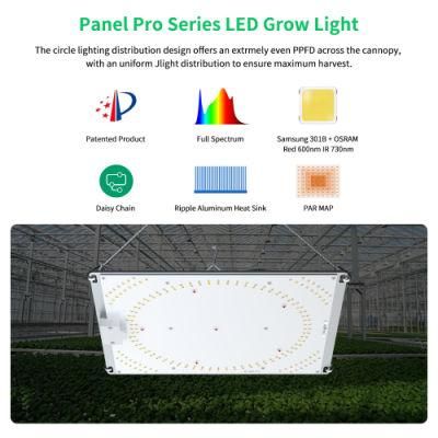 Wholesale 100W Indoor Garden Full Spectrum Board LED Grow Lights