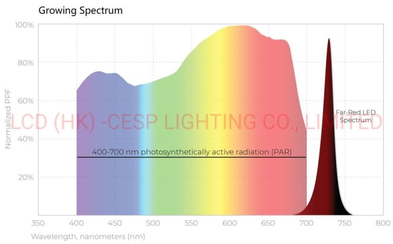 Full Spectrum Growing Light 750W Waterproof IP66 High Bay Grow Light 500W