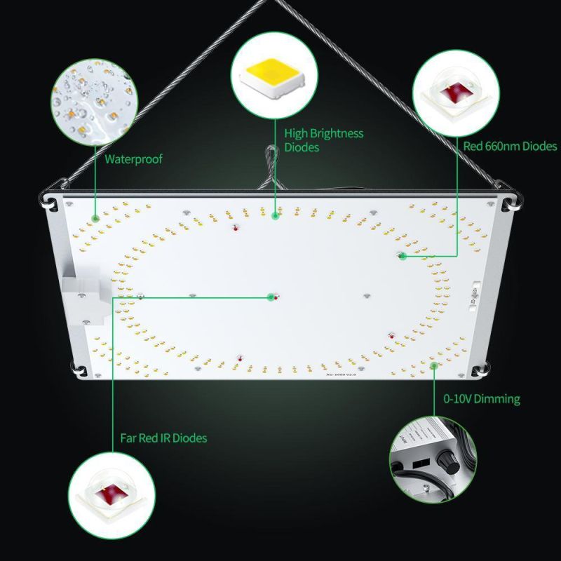 New Patent 100W 200W 300W Full Spectrum 0-100% Dimmable High Ppf Wholesale LED Grow Panel Plant Lights Daisy Chain Function for Indoor Greenhouse Farmer