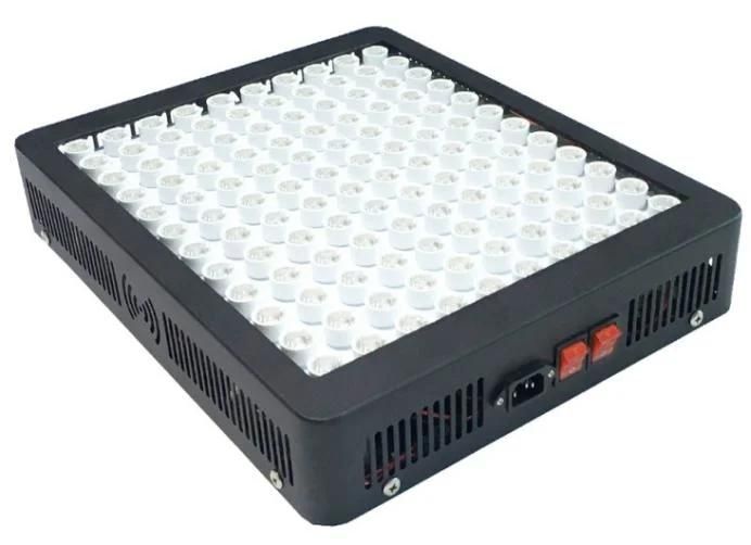 300W Popular Panel LED Grow Light for Medical Plants