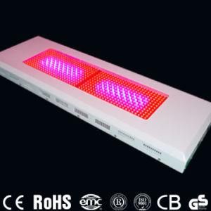 LED Grow Light 600W, AC85-265V (CD-GL600W-RB)