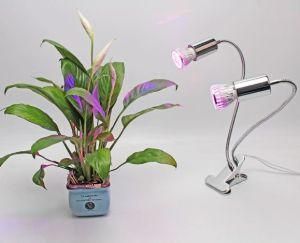 Newest Detachable 10W Goose Neck Dual Head LED Grow Light