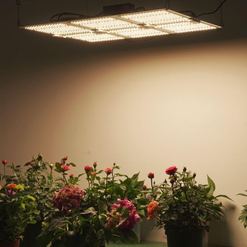320W Veg/Bloom Top Light LED Grow Light with High PAR Output