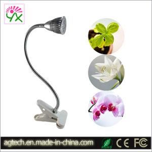 LED Indoor Grow Light 5W for Lettuce, Tomatoes, Kiwi Fruit Grow