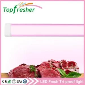 IP65 Waterproof 1.2m 50W LED Tri-Proof Light for Freezer LED CS&odblac;