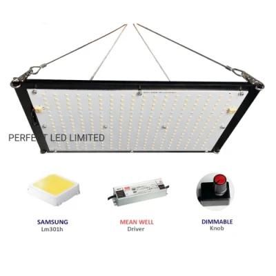 LED Grow Light Sam-Sung Lm301b Full Spectrum Indoor Plant Grow Lights with Stock in Us UK Ca De Warehouse