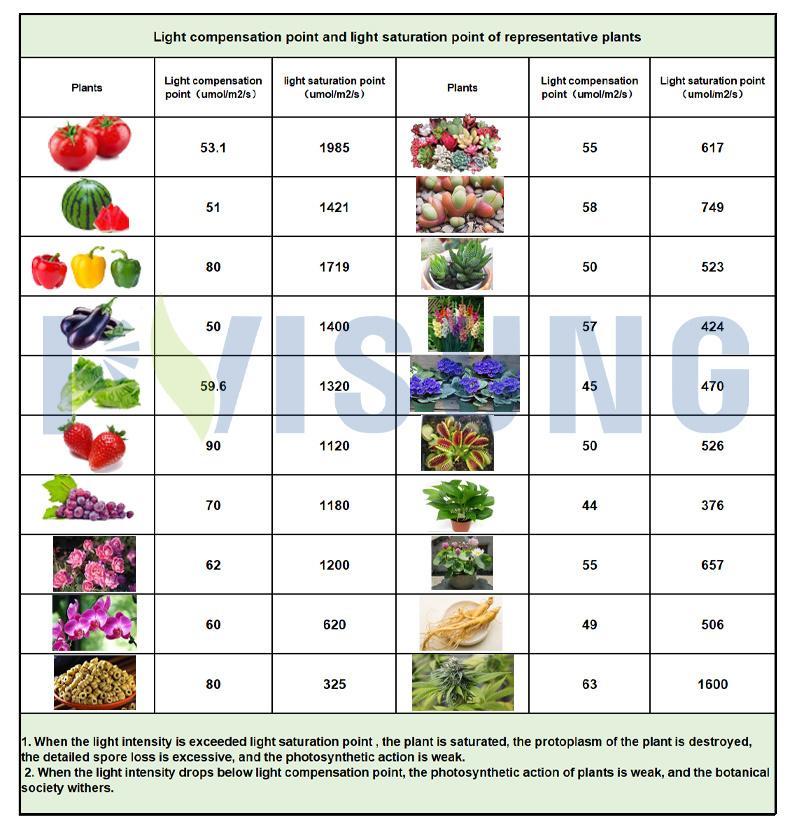 Samsung Strip Indoor Quantum High Power Horticulture Board Lamp Full Spectrum Growing Plant Wholesale LED Grow Light