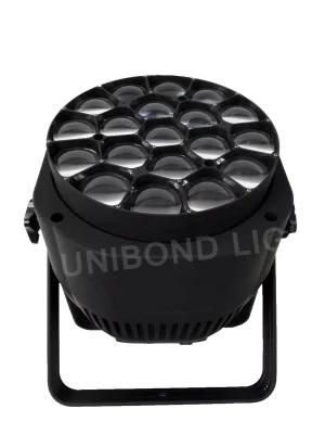 Bee Eye Professional Lighting LED PAR Light DJ Light for Concert