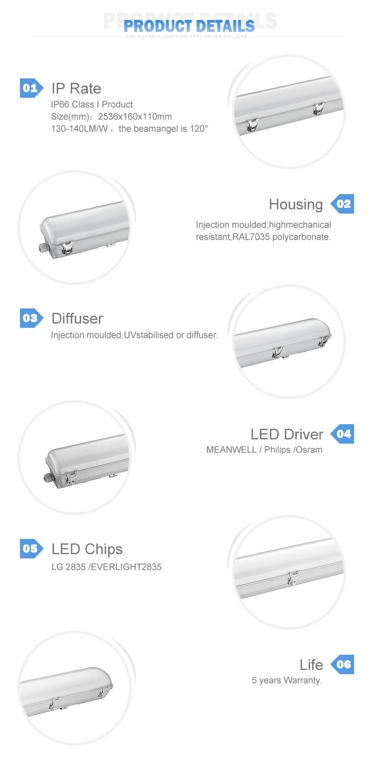 Triproof Fixture Tube Light Industrial Lighting Nwp LED Waterproof Light