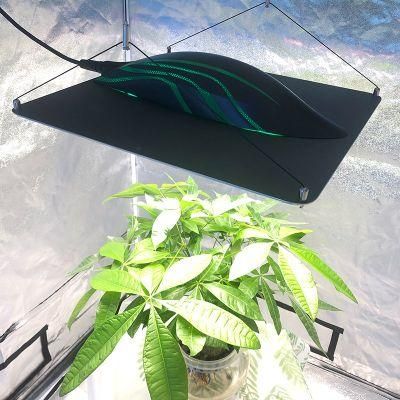 Samsung Official Partner Indoor Hydroponic UV IR 320W CMH 800W Lm301h Lm301b LED Grow Light Full Spectrum