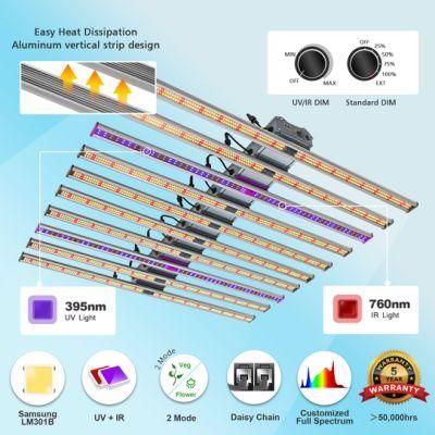 800W Bonfire LED Grow Lighting with UL Certification for The Farm