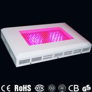 LED Grow Light 300W, AC85-265V (CD-GL300W-RB)