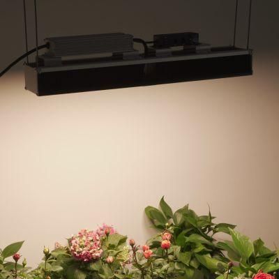 Ilummini 2.8umol/J 5 Years Warranty LED Grow Light for Plants