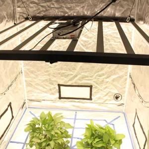 Full Spectrum 600W Foldable LED Plant Grow Light for Microgreens Samsung Epistar