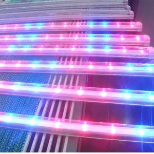 Seedling &amp; Veg &amp; Bloom LED Grow Light 1280W T5 LED Tube Grow Light