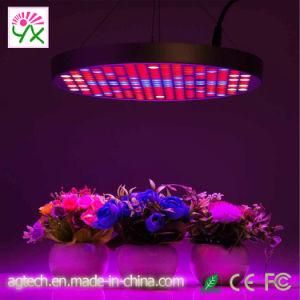 China Factory Greenhouse Flower Vegetable Special Round 50W LED Grow Light UFO