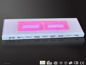 600W LED Grow Light (RY-DDY-PG600W)