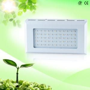 Hot Sale 120W Full Spectrum LED Grow Light for Medical Herbs Growers