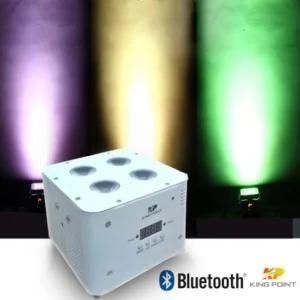 Kingpoint / Kp 4*10W RGBA/RGBW Bluetooth Parcan for Stage Lighting, DJ Disco (KPS-890)