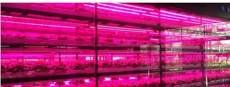 18W High Power Greenhouse LED Green Leaf Plant Growth Light Tube Full Spectrum Plant Fill Light