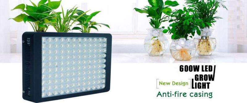 Newest Full Spectrum 600W LED Grow Light for Greenhouse/Garden