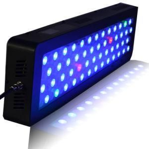 Sunrise Sunset Intel-300W LED Aquarium Light Moonlight