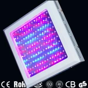 LED Grow Light 150W, AC85-265V (CD-GL150W-RB)