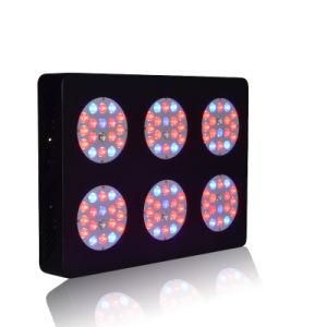 Full Spectrum 300W LED Grow Light, Hydroponics Systems LED Grow Lights Panel 2014
