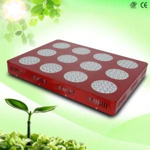 500W LED Grow Light for Greenhouse and Hydroponics (GS-Znet12-500W)