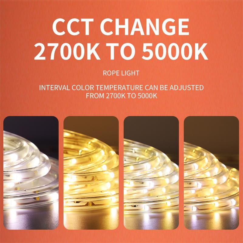 LED Decoration Rope Lights With Remote Color Changing For Room Kitchen Bedroom