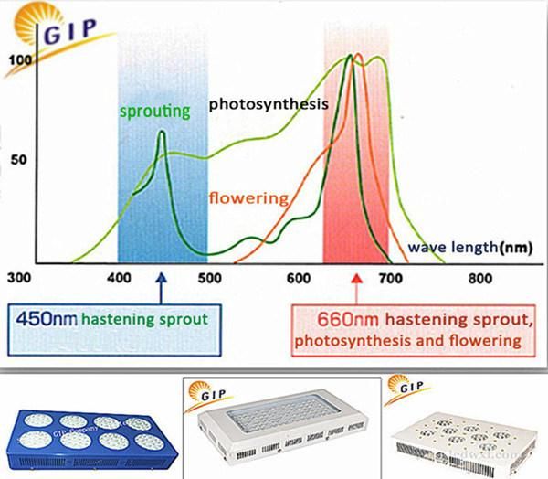 Gip 12W LED Plant Grow Light for Hydroponics Greenhouse