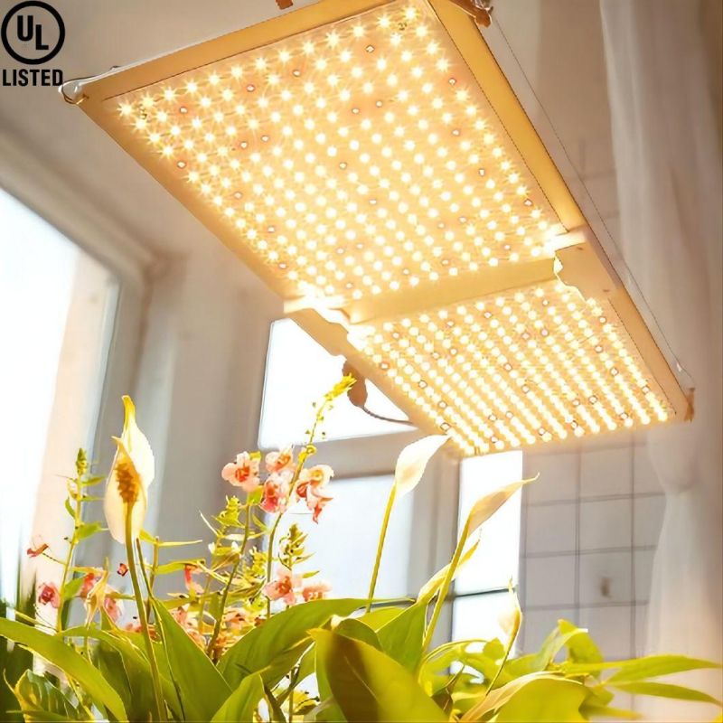 200W LED Plant Grow Lighting with UL Certifition 3 Years Warranty in The Greenhourse
