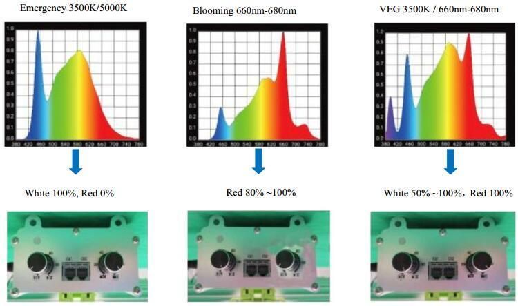 1000W Full Spectrum Grow Kit Spectrum Adjustable Grow LED Light for Medical Cannabiz Plants