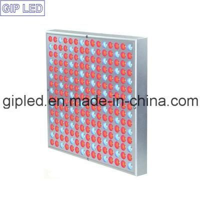 New Product Distributor Greenhouse 225PCS Chips LED Plant Grow Light