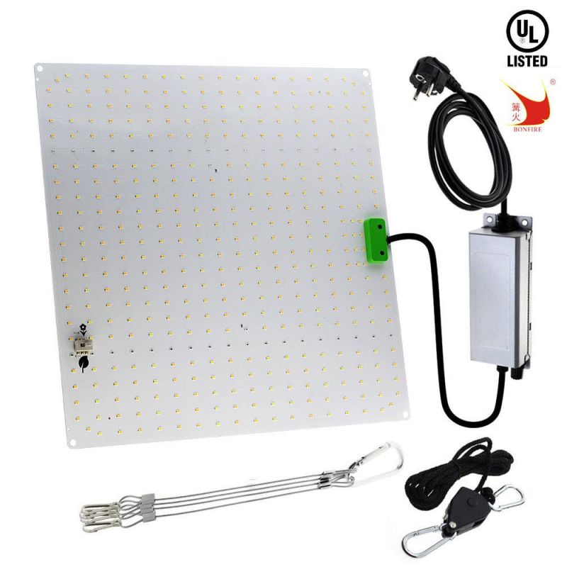 100W Bonfire LED Grow Light UL Certification Service for The Farm