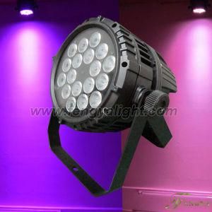 RGBW Outdoor LED PAR Light (FY-008D)