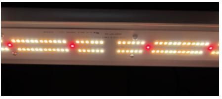 Supplemental Grow Light 35W Multiple Spectrum Available LED Grow Light with cETLus/CE/FCC/PSE Certified