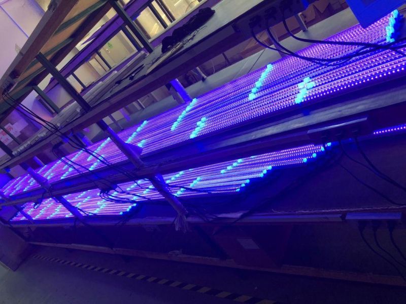 LED Tube Plant Grow Light with White Color Lighting System