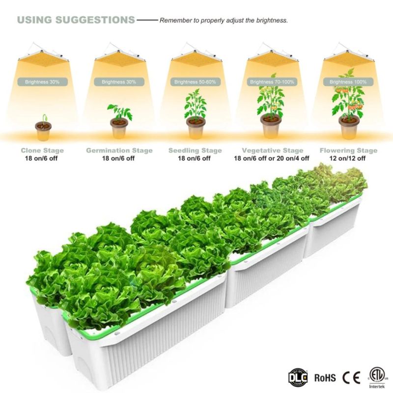 ETL Certified Competitive Full Spectrum 240W LED Photon Board Grow Panel for Indoor Plants