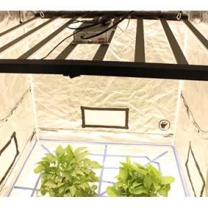 Bluetooth Dimmable Vegetable Grow Light Samsungs Lm301h Grow Light Full Spectrum for Indoor Weed Growing