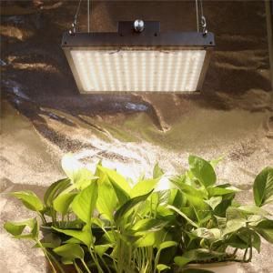 75W 150W Quantum Technology Samsung Lm301b LED Board Grow Light for Indoor Plant