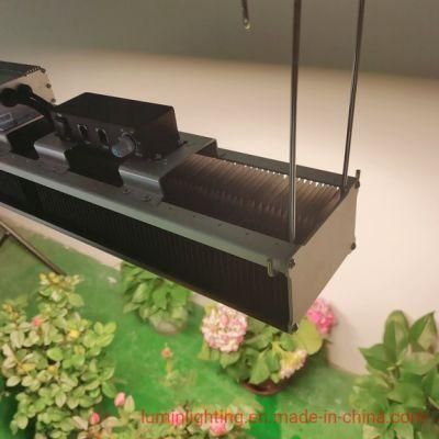 Dimmable LED Grow Light for Vertical Farming and Indoor Crops
