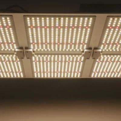 100W 400W 600W Quantum Board Commercial Indoor Farming Plant Panel Lights Lm301b Full Spectrum LED Grow Light
