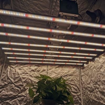 600W Full Spectrum LED Grow Light